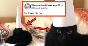 The 21 Best, Funny, Most Wholesome Posts From This Week