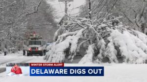 Winter storm cleanup continues in Delaware