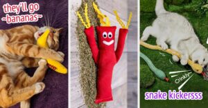 19 Catnip Toys Your Kitty Will Be Absolutely *Obsessed* With