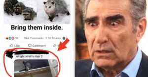 I Challenge You To Try Not To Laugh While Looking At These 32 Pictures That Are Physically Impossible Not To Smile At