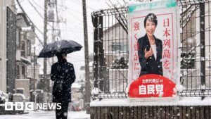 Japanese people brave snow to vote in snap election