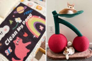 If You Refuse To Let Having Cats Ruin Your Aesthetic, Here Are 23 Products That’ll Fit Into Your Home’s Decor