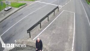 Veteran dissident who refused exile released