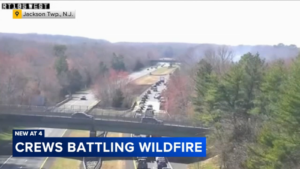 Smoke rises over Rt. 195 due to wildfire in Jackson Township, NJ