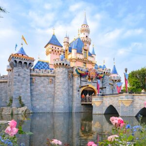 Disneyland Employees Hospitalized at Theme Park, Hazmat Odor Reports