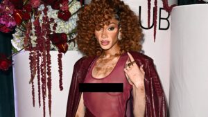 Winnie Harlow Shows Off Her Boobs in Sheer Outfit at Event