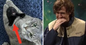 I Truly Can't Stop Laughing At These Random, Hilarious Photos People Posted Online