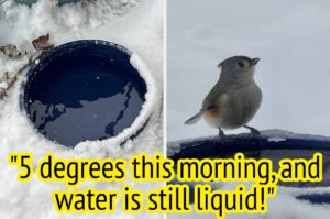 18 Genuinely Cool Products To Use The Next Time You’re Outside