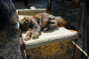 29 Outrageously Adorable Things That Will Make You Say, “Are You Kidding Me Right Now?”