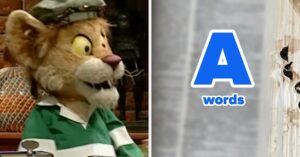 Can You Define These A-Words?