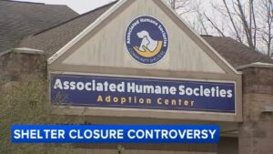 Dispute over contract leaves Vineland without dedicated animal shelter