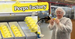 This Is Every Single Step In The Process Of Making Peeps, Straight From The Factory Floor (And Some Industry Secrets)